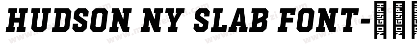 Hudson NY Slab font字体转换